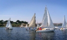 175_7566low_20120306_1366776788.jpg